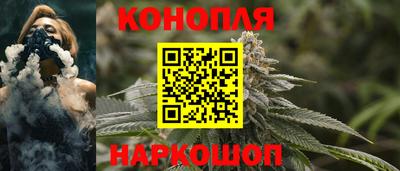 сатива Бузулук