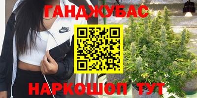 тгк Будённовск