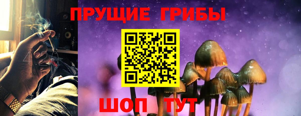 купить  цена  Псилоцибиновые грибы ЛСД  Вход с VPN  Прокопьевск  Псилоцибиновые грибы прущие грибы 